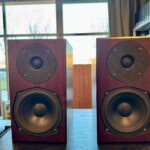 Totem Acoustic Mite