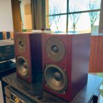 Totem Acoustic Mite - immagine 3